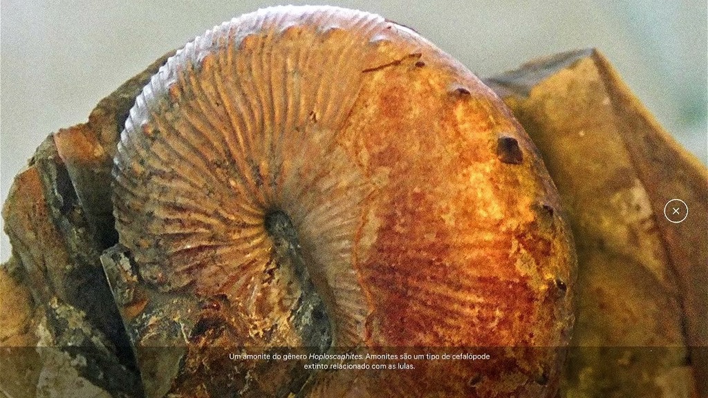 Exposição Principal  Horizontes Cósmicos   Durações