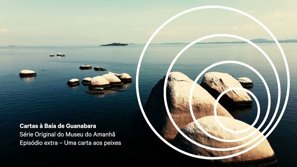 Episódio Extra - uma carta aos peixes