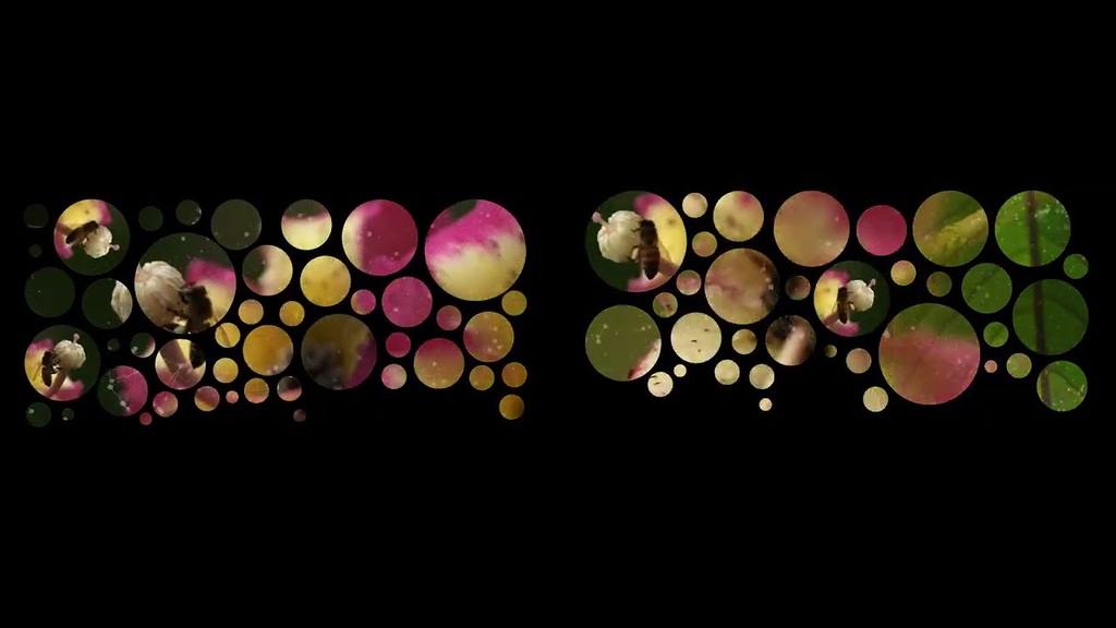 Cubo da Vida: vídeo 1 (interior do cubo)