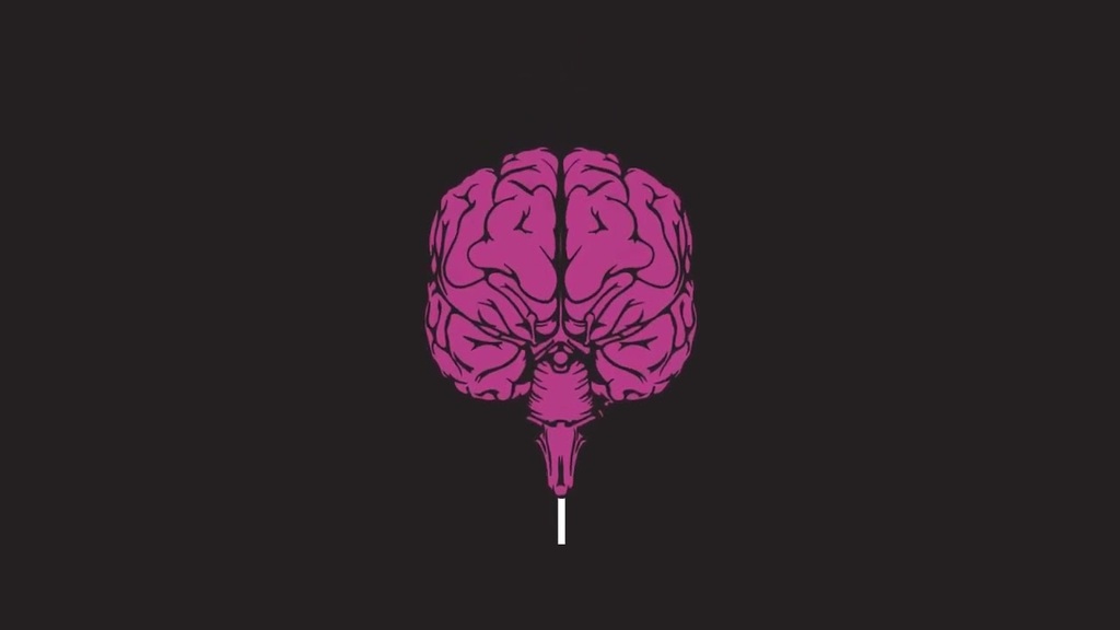 Cubo do Pensamento: vídeo Cérebro