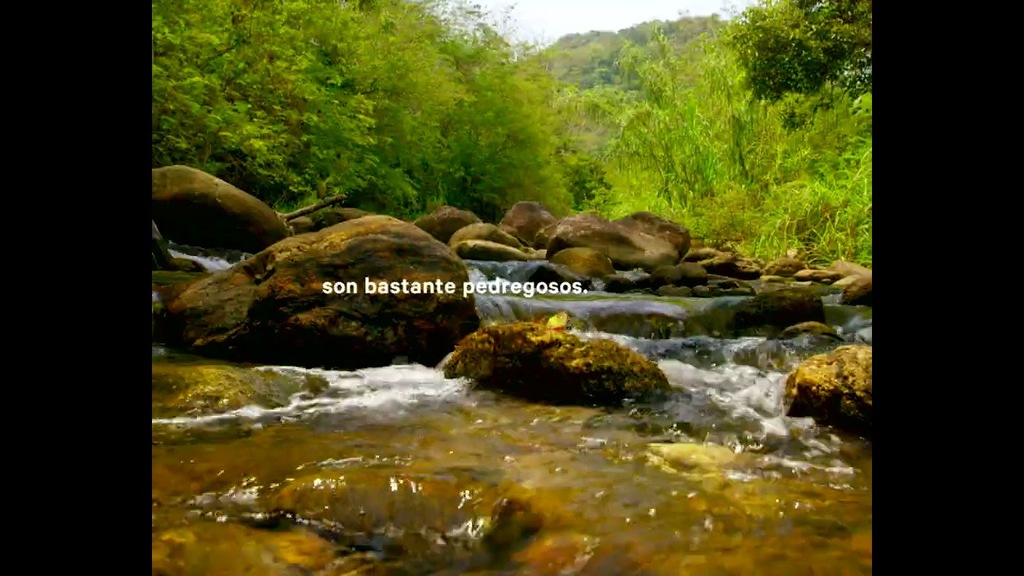 Cubo da Vida: vídeo Terras Baixas ESP
