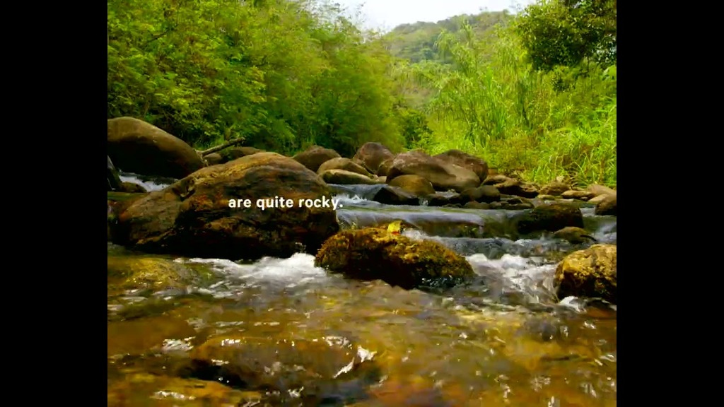 Cubo da Vida: vídeo Terras Baixas ENG