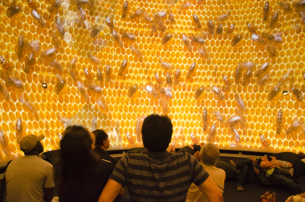 Videoinstalação Portal Cósmico