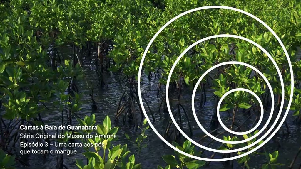 Episódio 3 - uma carta aos pés que tocam o mangue