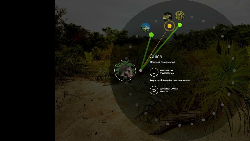 Cubo da Vida: Ecossistemas